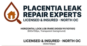 Placentia Leak Repair Experts